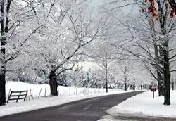 Shelburne Farms
